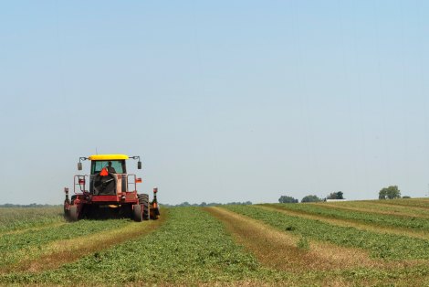 Tractor on field.